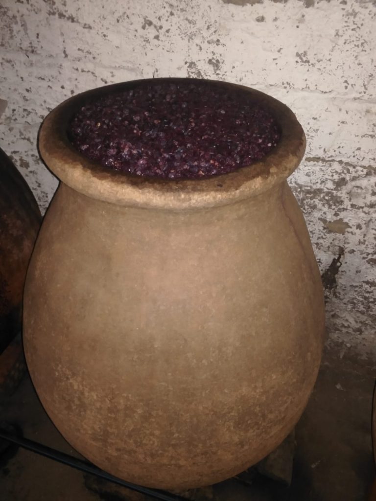 Maceracion del Vino 2