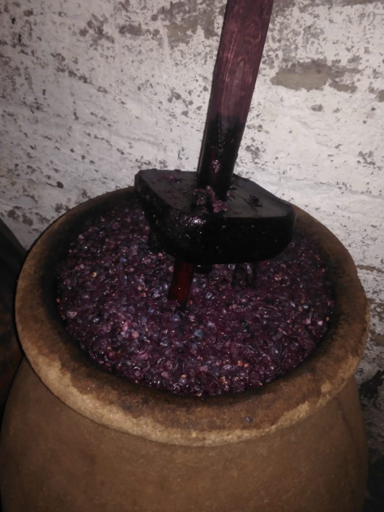 Preparacion del Vino 1